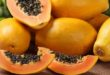 Manfaat Pepaya untuk Kesehatan dan Kandungannya
