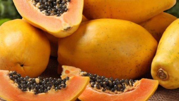 Manfaat Pepaya untuk Kesehatan dan Kandungannya