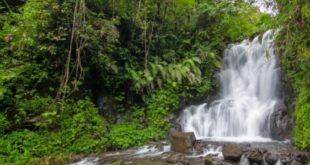 Rekomendasi Tempat Wisata di Ponorogo Keren