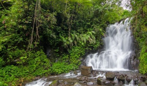 Rekomendasi Tempat Wisata di Ponorogo Keren