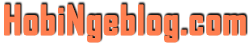 HOBINGEBLOG.COM