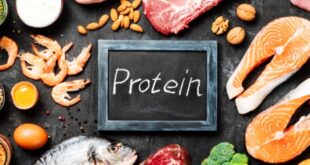 Jenis Makanan Berprotein Tinggi Rendah Lemak yang Cocok untuk Diet