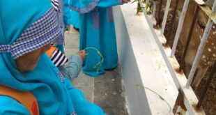 cara mendidik anak agar menjadi soleh_89b1ffa15.jpg