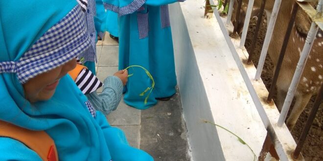 cara mendidik anak agar menjadi soleh_89b1ffa15.jpg