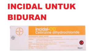 cara mengobati biduran agar tidak kambuh lagi_9d44fe74b.jpg