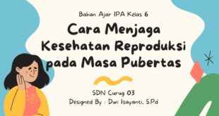 cara menjaga kesehatan tubuh saat masa pubertas_df675cc5e.jpg