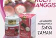 manfaat kulit manggis untuk kesehatan dan cara mengolahnya_88a8bf193.jpg