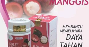 manfaat kulit manggis untuk kesehatan dan cara mengolahnya_88a8bf193.jpg