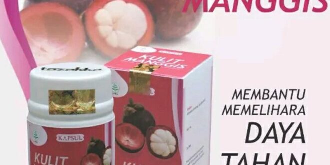 manfaat kulit manggis untuk kesehatan dan cara mengolahnya_88a8bf193.jpg