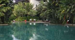 rekomendasi hotel di puncak dengan pemandangan indah_0ac842241.jpg