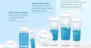 skincare yang cocok untuk kulit berminyak berjerawat dan kusam_35a1af02a.jpg