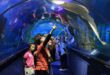 tempat wisata di malaysia yang wajib dikunjungi_6f0ed79d1.jpg