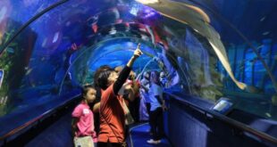tempat wisata di malaysia yang wajib dikunjungi_6f0ed79d1.jpg