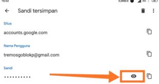 cara mengetahui sandi akun google yang lupa_524372c46.jpg